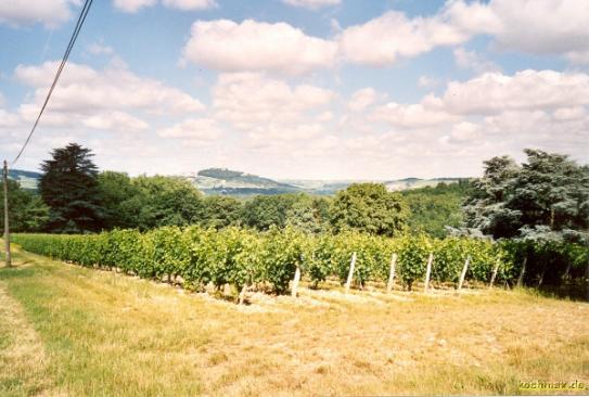 Auf dem Hügel liegt sancerre