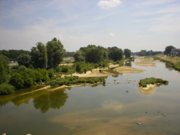 Niedrigwasser in Orleans