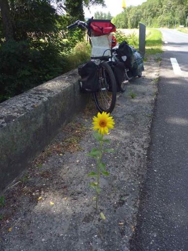 Die Kraft der Natur