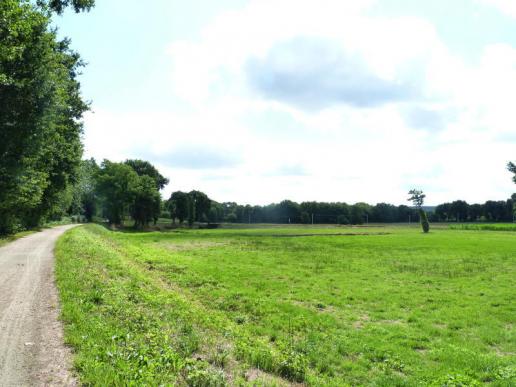 eine ehemalige Bahnstrecke, jetzt Radweg