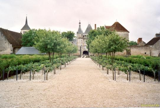Das Schloß von Talcy