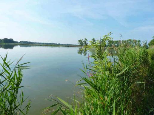 einer der unzähligen Seen in der Brenne