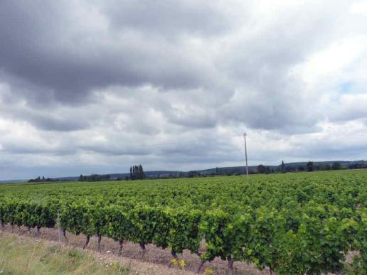 auf der Hochebene vor Chinon