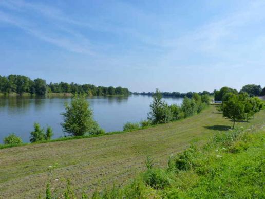 oben auf dem Loiredeich