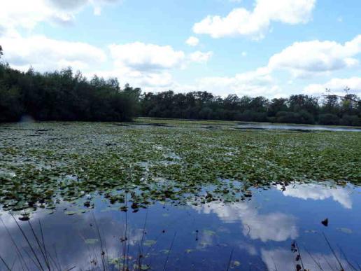 ein See in der Sologne