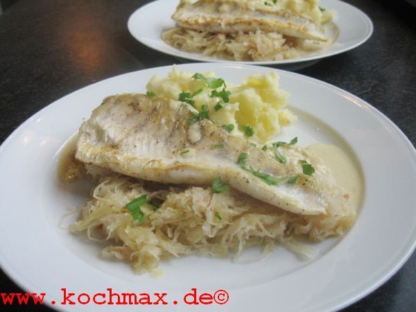 Gebratener Zander auf Weinkraut