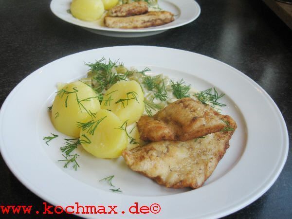 Zanderfilet mit Selleriesauce